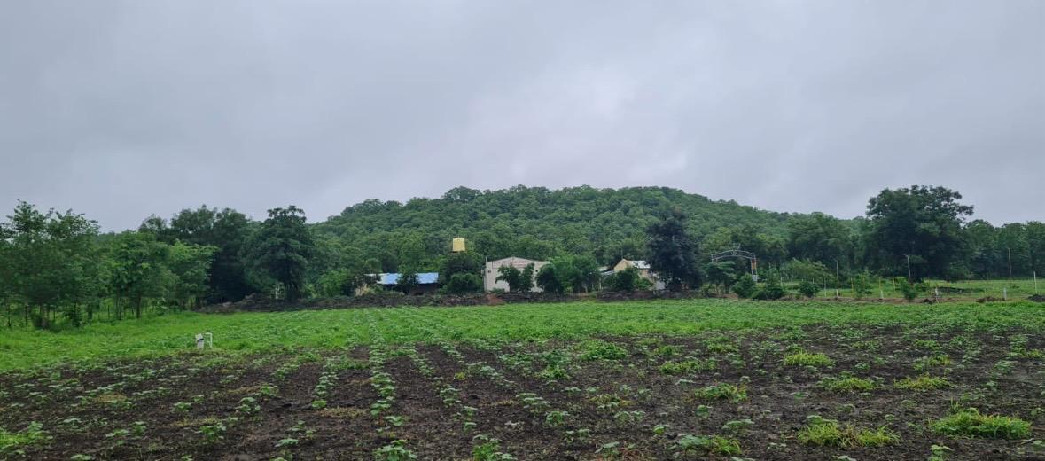 Resort Property