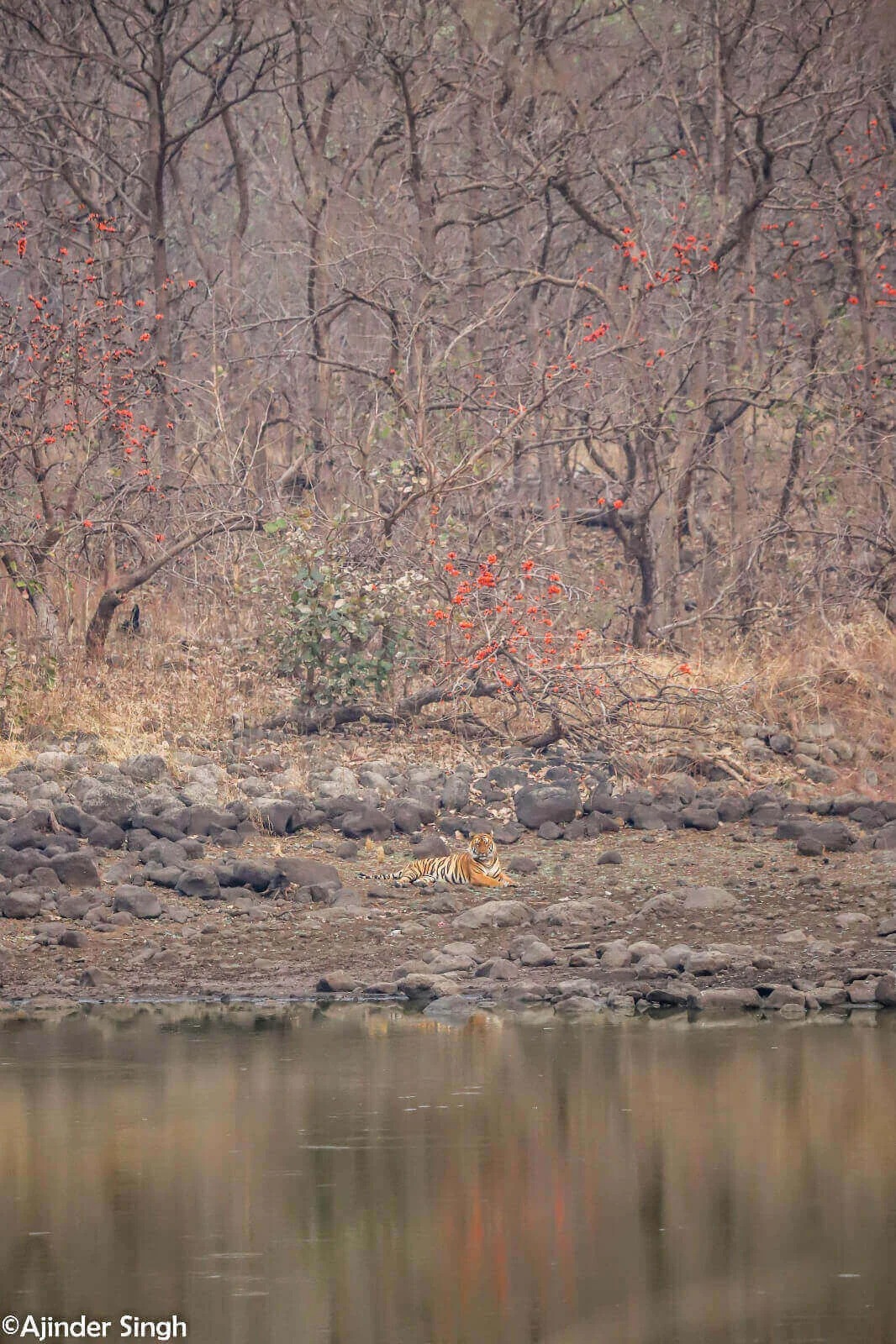 Tipeshwar Wildlife