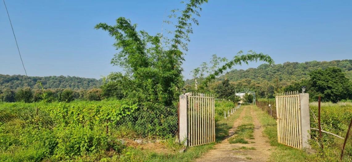 Agro-Tourism Activities